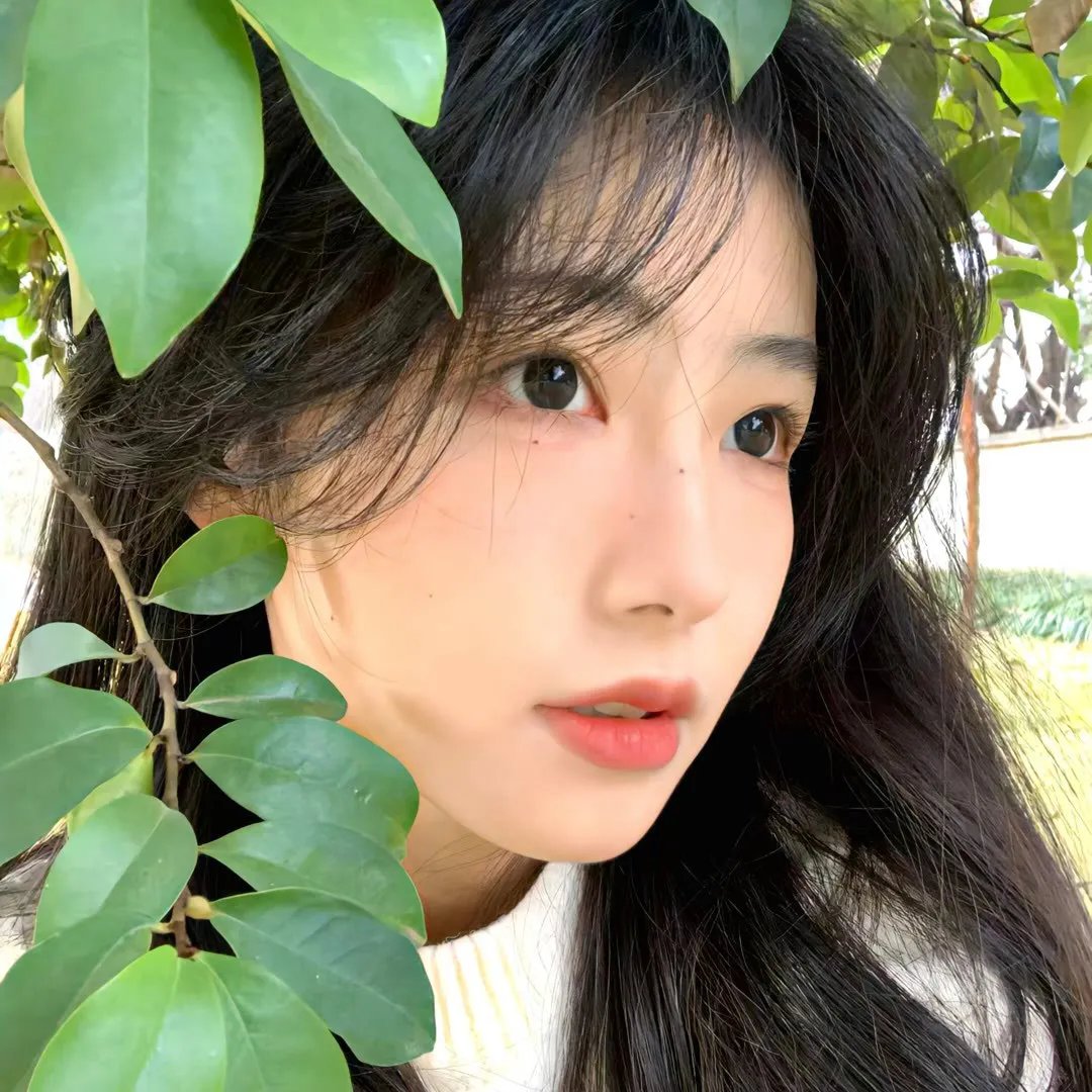 蛮牛